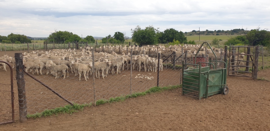Commercial Property for Sale in Bloemfontein Rural Free State